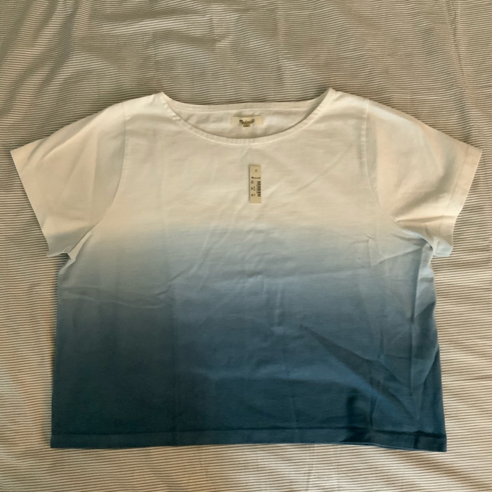 Madewell Tee - Blue and White